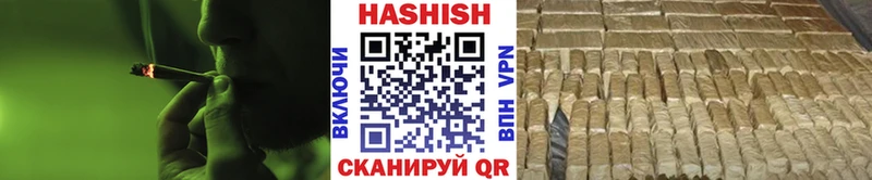 ГАШ Premium Судак
