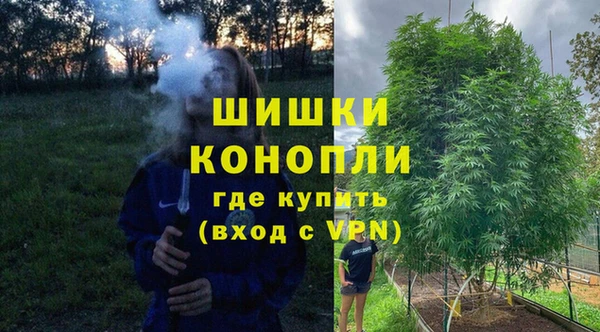 ешки Арсеньев