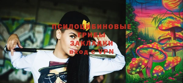 ешки Арсеньев