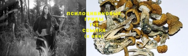 кристаллы Аркадак