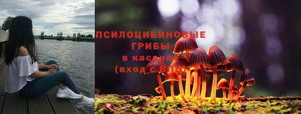 соль ск Богородицк