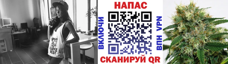 Канабис сатива  закладка  Судак 